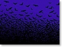 Bats-Are-Good-halloween-526