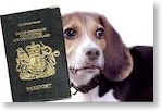 pet-passport