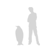 A tall man next to an Emperor Penguin